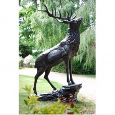 Elk On Stone AVAILABLE TO ORDER