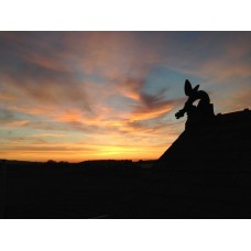 Roof Finials (18)