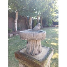 Bird On A Log Bird Bath