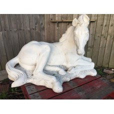White Laying Foal