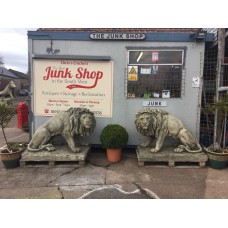 Impressive Lions