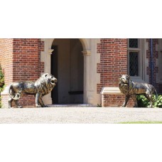 Lion Statues
