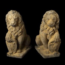 Lions (7)