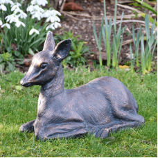 Fawn Resting AVAILABLE TO ORDER