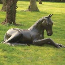 Laying Foal