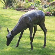 Grazing Doe AVAILABLE TO ORDER