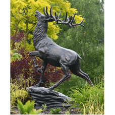 Red Deer on Rock AVAILABLE TO ORDER