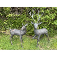 Stag and Doe Statue Set AVAILABLE TO ORDER