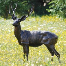 Standing Stag