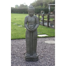 Buddha Collection (6)